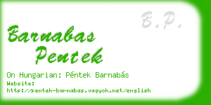 barnabas pentek business card